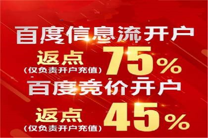 百度竞价包年服务：某行业领导品牌的成功故事
